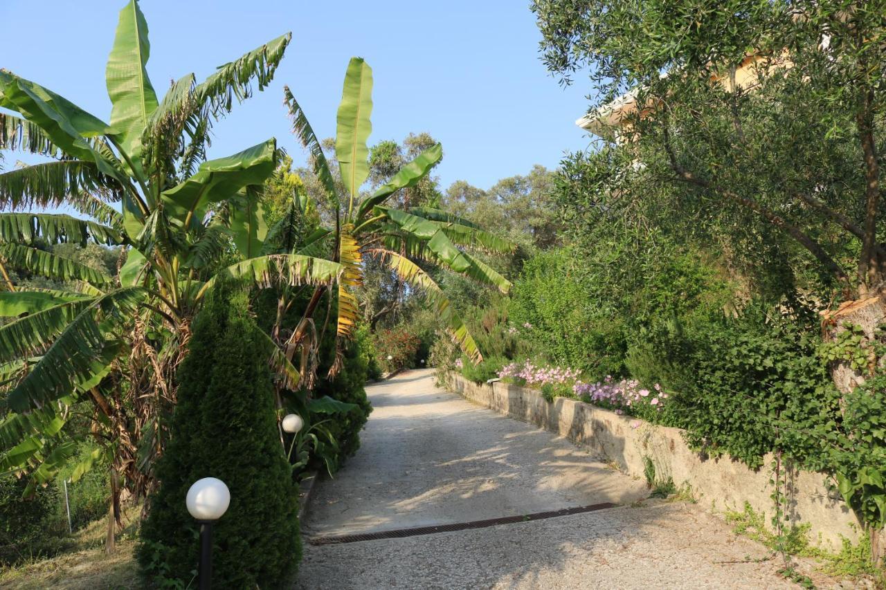 Dafni Studios No2 Parga Exterior photo